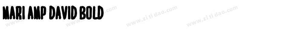 MARI&DAVID BOLD字体转换